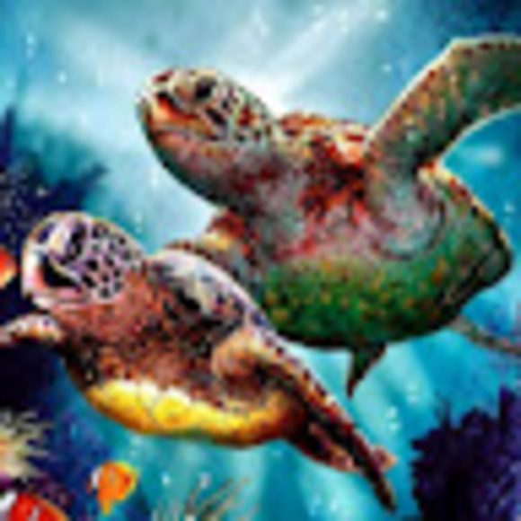 Meet your Posher, Christine - Picture 1 of 1